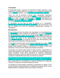 Actividades de desarrollo humano. | Esquemas y mapas conceptuales de ...