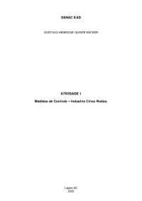 Medidas de Controle – Industria Cinco Rodas