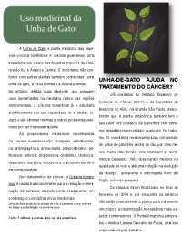 Uso Medicinal da Unha de Gato