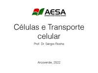 Células e Transporte: Íons, Membranas e Processos de Transporte