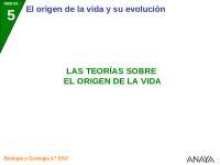 Linea del tiempo sobre el origen de la vida | Esquemas y mapas ...