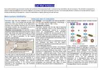 Antibiotics (CELL WALL INHIBITORS)