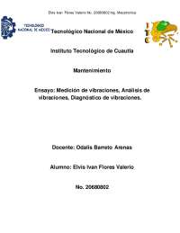 Análisis de Vibraciones en Mantenimiento Predictivo de Maquinaria - Prof. Esteves