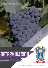 DETERMINACION DE TANINOS