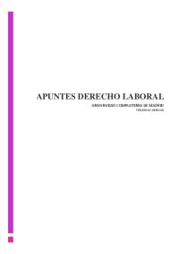 Apuntes Derecho Laboral Completos