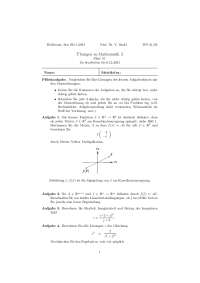 Übungen zu Mathematik 2 - Blatt 10