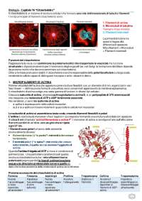 RIASSUNTI DEL LIBRO DI BIOLOGIA "ALBERTS"