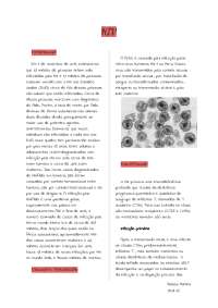 HIV - Resumo de clínica médica sobre Aids e  vírus HIV