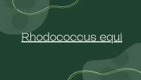RODOCOCOSE EM POTROS