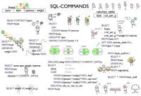 SQL Commands Cheat Sheet | Cheat Sheet Database Management Systems ...