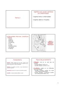 Agentes patógenos de plantas: tipos, formas y tamaños