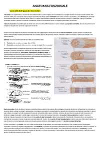 ANATOMIA FUNZIONALE - LM68 1° anno | Appunti di Anatomia | Docsity