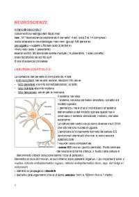 Neuroscienze esplorando il cervello