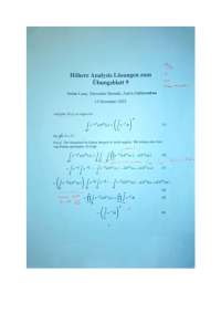 Übungsblatt 16 von 20 Punkten, Fehlerintegral, Lp-Räume, Hölder-Ungleichung, Maßtheorie