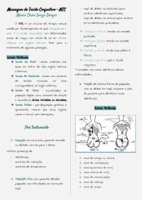 Massagem do Tecido Conjuntivo - MTC