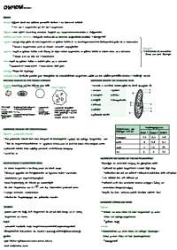 Biomembran Biologie 10. Klasse