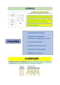 Lipídeos: características, funções e classificação