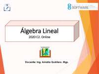 Álgebra Lineal: Vectores en R2/R3 y Espacios Vectoriales - Prof. Lopez Vera
