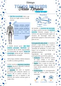 Tecido Nervoso - Notas de aula e estudo de Histologia