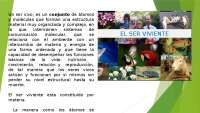 El ser viviente de todas las perspectivas | Esquemas y mapas ...