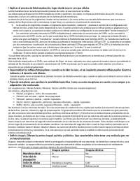 Resumen de Fisiología: Sistema Nervioso y Muscular - Preguntas y Respuestas