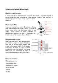 Il microscopio ottico e le cellule vegetali | Schemi e mappe ...
