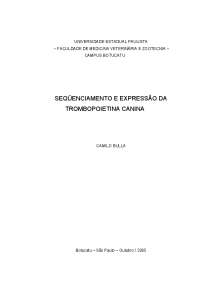 SEQÜENCIAMENTO E EXPRESSÃO DA TROMBOPOIETINA ...