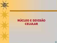 Núcleo e Divisão Celular: Um Guia Completo para Estudantes