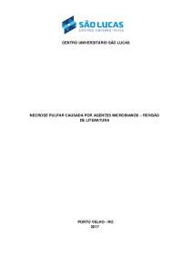 REVISÃO DE LITERATURA PORTO VELHO