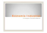 Economia Industrial