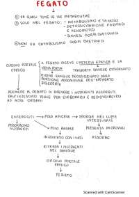 Mappe concettuali biochimica II - Sistematica