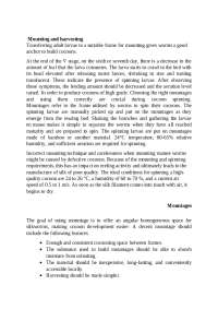 Sericulture - Mounting and harvesting methods