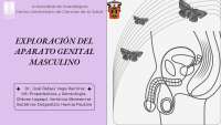 Exploracion del aparato genital masculino