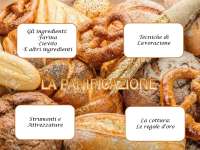 La panificazione, le farine, il lievito, altri ingredienti, le tecniche di lavorazione..