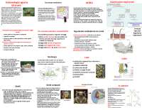 entomologia agraria, prime descrizione sugli insetti