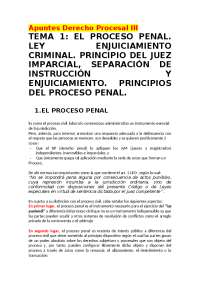 apuntes de derecho procesal penal Belén Romero
