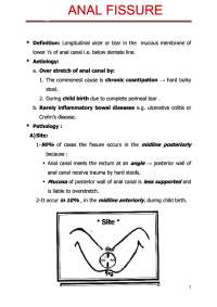 ANAL FISSURE important notes