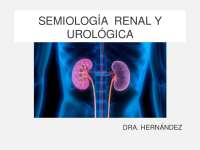 Semiologia del sistema renal