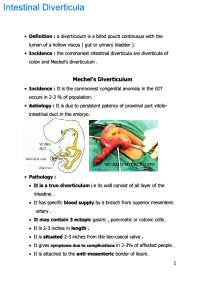 Intestinal Diverticula