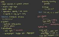 Liver: Anatomy and Physiology, Pathophysiology