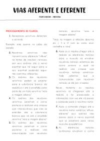 vias de transporte aferente e eferente