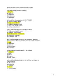 chapter 12 - characterizing & classifying eukaryotes