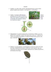 Guias, fichas y glosarios de taxonomia