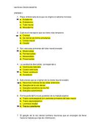 Anatomía del Sistema Nervioso: Ejercicios para el Tercer Semestre