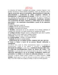 El Sistema Esquelético: Estructura, Función y Tipos de Huesos