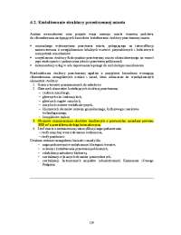 4.2. Kształtowanie struktury przestrzennej miasta