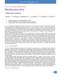 Mikroflora jamy ustnej