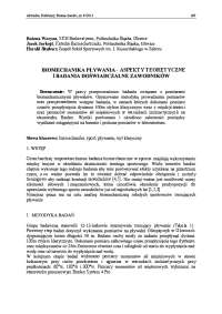 '- ASPEKTY TEORETYCZNE I