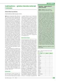 Leptospiroza – groźna choroba zwierząt i zoonoza