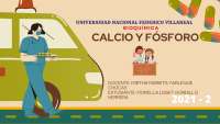 El calcio tiene unas funciones muy importantes